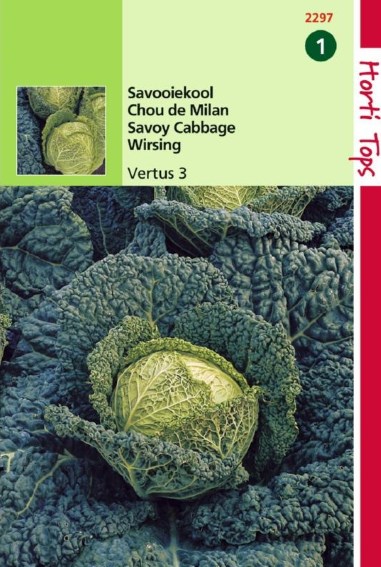 Savooiekool Vertus (Brassica) 500 zaden